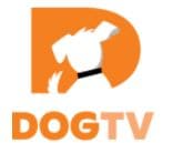 DOGTV